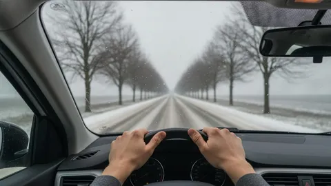 Vedere din spatele volanului către un drum de țară acoperit de un strat proaspăt de zăpadă, mărginit de copaci desfrunziți, sub un cer cenușiu de iarnă