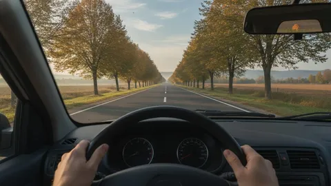 Vedere din scaunul șoferului: mâinile pe volan, pe un drum drept și pustiu, mărginit de copaci aurii de toamnă.