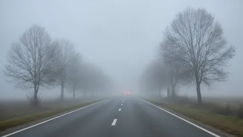 Drum național acoperit de ceață densă dimineața, printre copaci desfrunziți, cu stopurile unei mașini abia vizibile în depărtare.