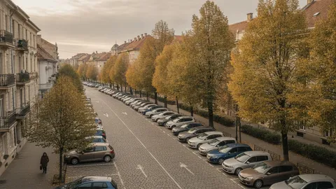 Stradă dintr-un oraș, toamna, văzută de sus: mașini staționate pe un rând, paralel cu bordura, de-o parte și de alta a drumului pietruit, sub tei îngălbeniți, cu o trecătoare pe trotuar.